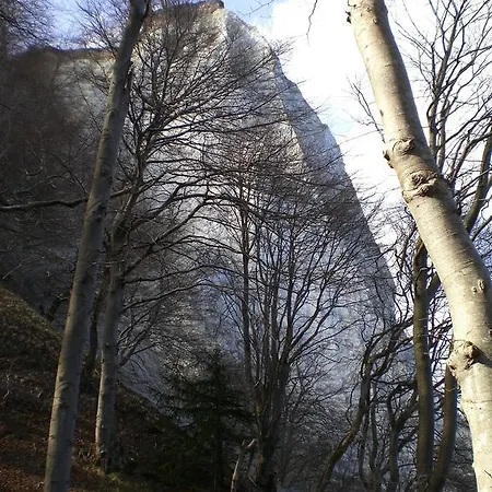 In Ruegen Naehe Weltnaturerbe Kreidekueste *