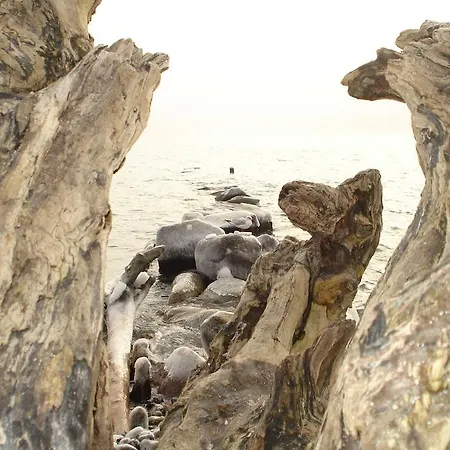 公寓 In Ruegen Naehe Weltnaturerbe Kreidekueste *