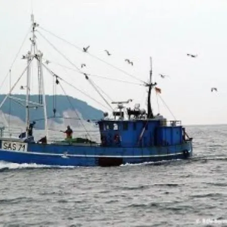 In Ruegen Naehe Weltnaturerbe Kreidekueste Lejlighed Sassnitz