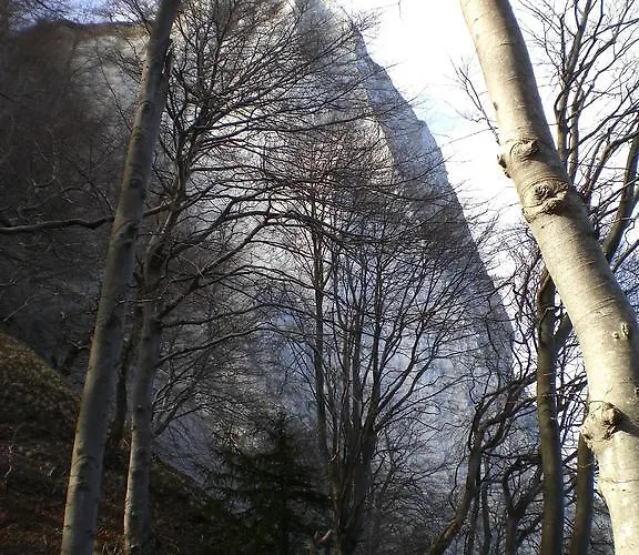 In Ruegen Naehe Weltnaturerbe Kreidekueste *